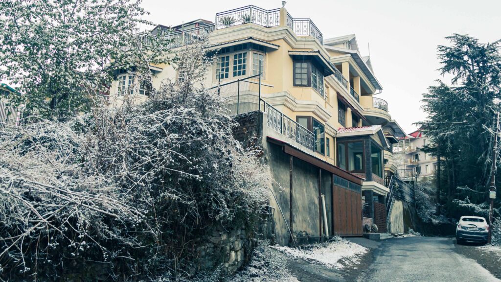 Pine Tree Villa Shimla-1